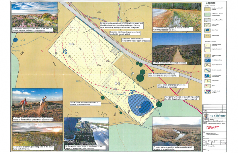 Baildon Wetland Creation