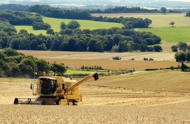 farming